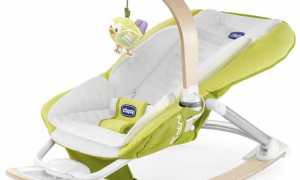 Шезлонги для новорожденных – как выбрать, фото и цены