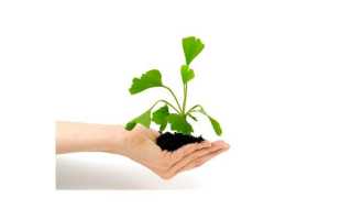 Народные методы лечения бесплодия