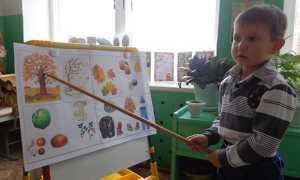 Мнемотаблицы для дошкольников в картинках — какие они бывают и как ими пользоваться