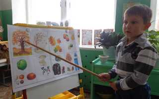 Мнемотаблицы для дошкольников в картинках — какие они бывают и как ими пользоваться