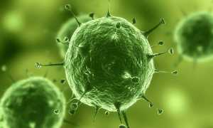 Микоплазма при планировании и во время беременности — описание, симптомы, лечение