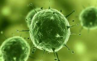 Микоплазма при планировании и во время беременности — описание, симптомы, лечение