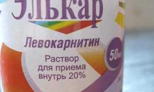 Элькар для новорожденных – инструкция, способ применения, отзывы