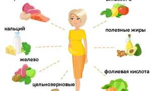 Хурма при беременности: польза, риски и советы