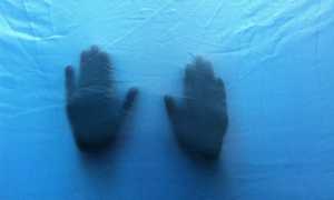 Анализы на совместимость при планировании беременности: полный гайд для пары