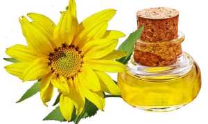 Детское масло для новорожденных – как правильно выбрать