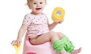 Как приучить ребенка к горшку: пошаговая инструкция, лайфхаки и советы педиатров