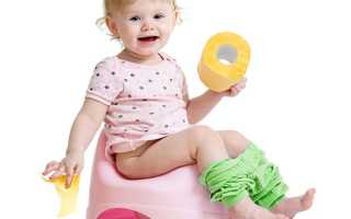 Как приучить ребенка к горшку: пошаговая инструкция, лайфхаки и советы педиатров