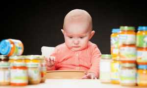 Когда водить прикорм на искусственном вскармливании — основные принципы