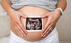 Второй скрининг при беременности: сроки проведения и что показывает
