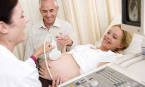 Третий скрининг при беременности: сроки проведения и что показывает