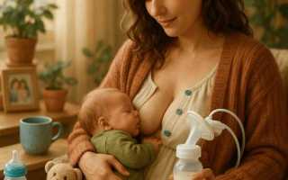 Как выбрать молокоотсос в 2025: ручной или электрический