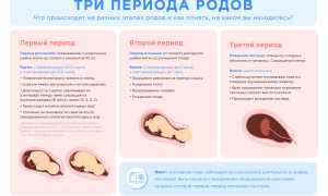 Как понять, что начались схватки: 1, 2 и 3‑й триместр, стадия и советы