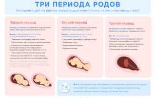 Как понять, что начались схватки: 1, 2 и 3‑й триместр, стадия и советы