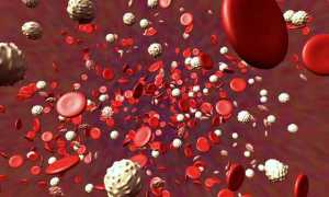 Гемостазиограмма при беременности – для чего назначают и что показывает этот анализ