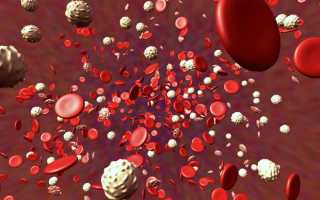 Гемостазиограмма при беременности – для чего назначают и что показывает этот анализ