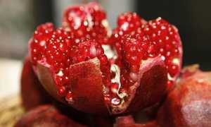 Можно ли гранат при грудном вскармливании кормящей маме?