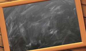 Вальдорфская школа – основные принципы, плюсы и минусы