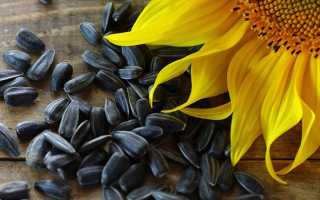 Можно ли семечки при грудном вскармливании