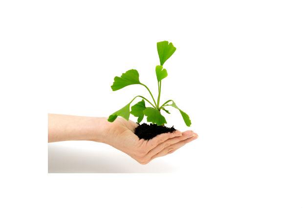 Народные методы лечения бесплодия Народные методы лечения бесплодия