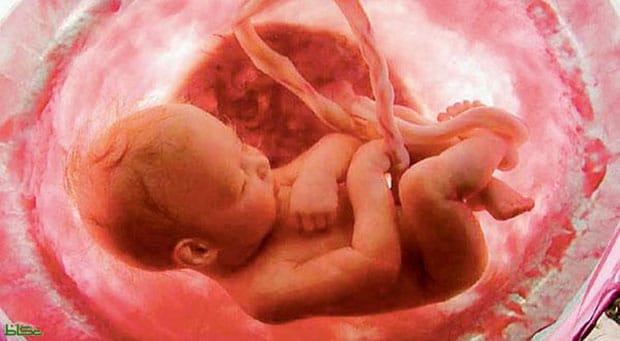 икота у плода