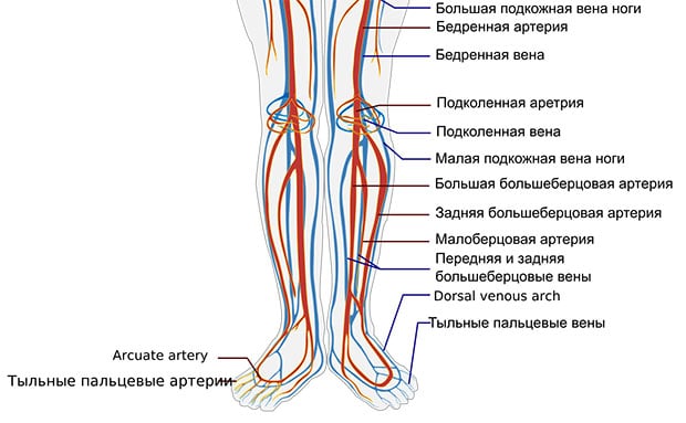 нужны ли чулки для родов