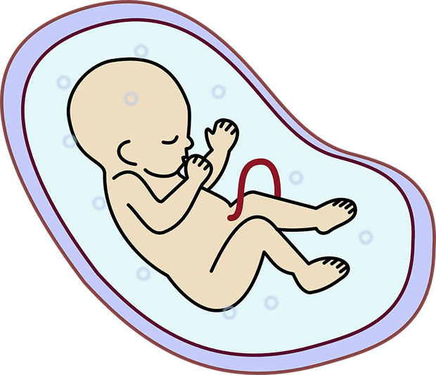 горчичники во время беременности